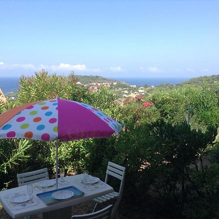Panoramic Seaview Studio Tiuccia Casaglione المظهر الخارجي الصورة